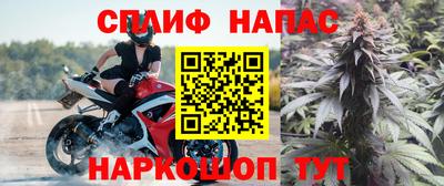 сатива Коммунар