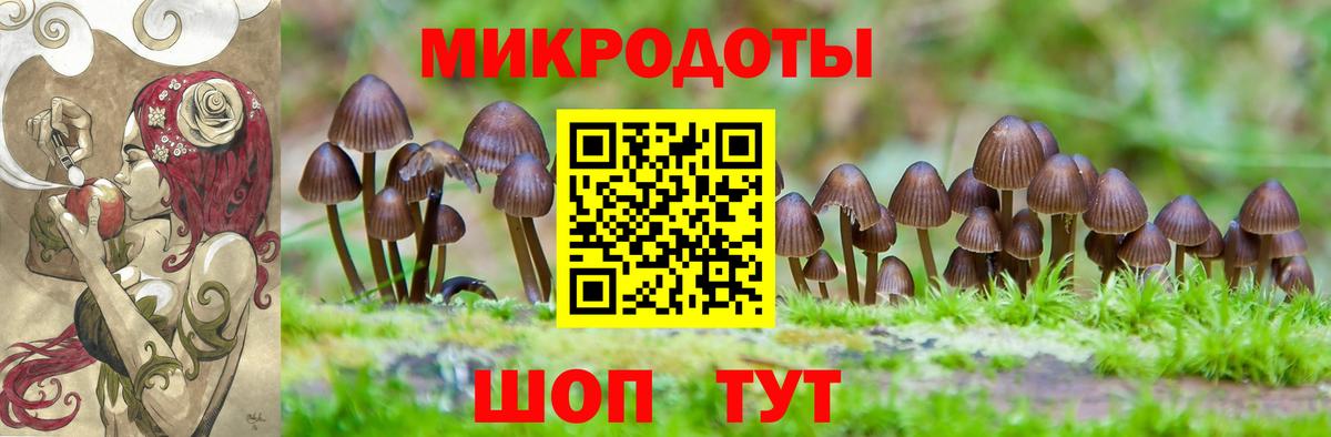 где купить наркоту  Псилоцибиновые грибы прущие грибы  Вход с VPN  Электрогорск 