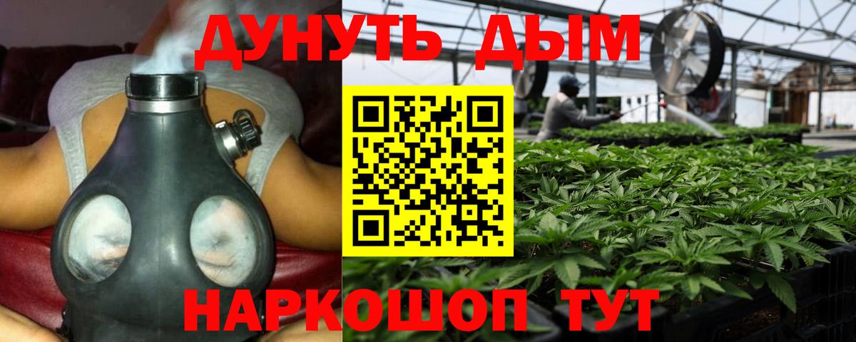 Каннабис SATIVA & INDICA  Вход с VPN  Бошки Шишки VHQ  Каннабис планчик  Электрогорск 